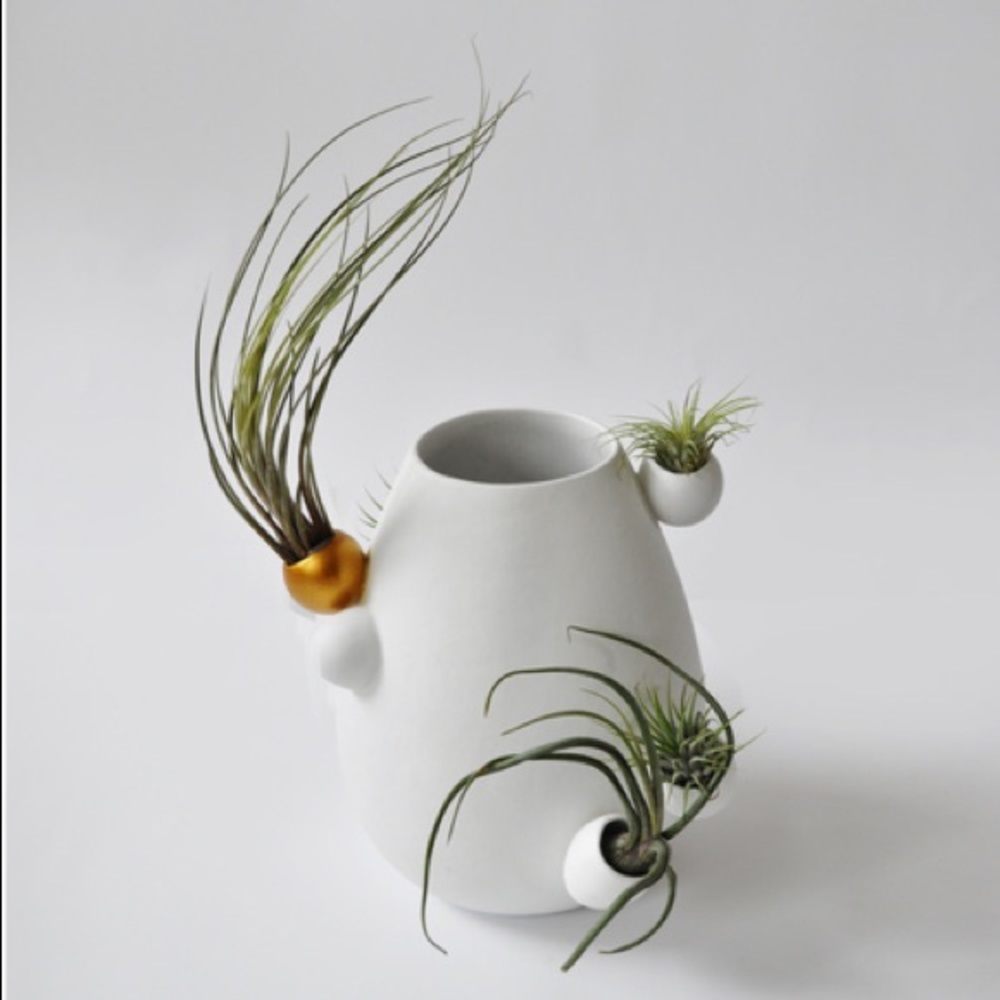 Designer vase. By Müzz Design